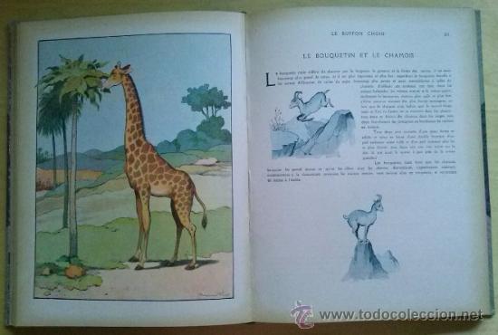 Libros antiguos: LE BUFFON CHOISI. BENJAMIN RABIER. GARNIER FRERES (1932) - Foto 3