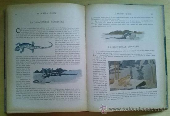 Libros antiguos: LE BUFFON CHOISI. BENJAMIN RABIER. GARNIER FRERES (1932) - Foto 4