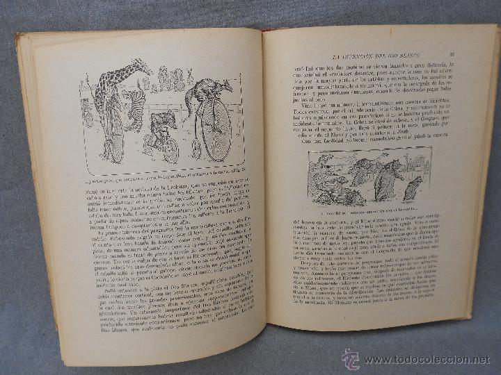 Libros antiguos: MI LIBRO FAVORITO. - Foto 3