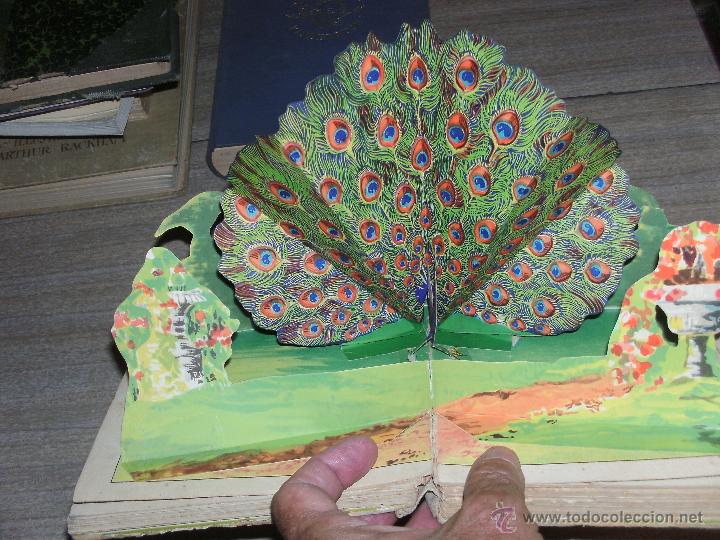 Libros antiguos: CHILDRENS ANNUAL - - Foto 7