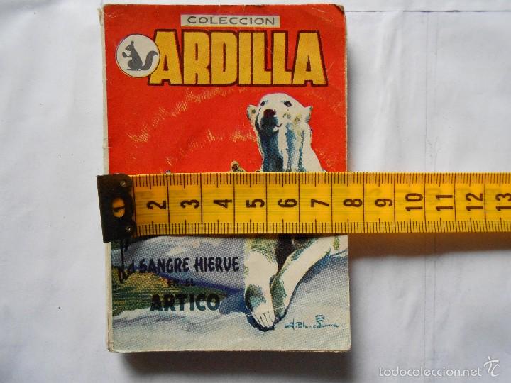 Libros antiguos: LIBROS PULGA ARDILLA BRUGUERA - Foto 1