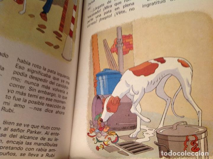 Libros antiguos: Perros y gatos( Susaeta ) - Foto 4