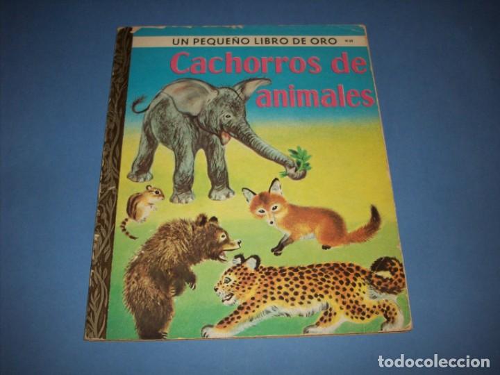 Libros antiguos: cachorros de animales editorial novaro - Foto 1