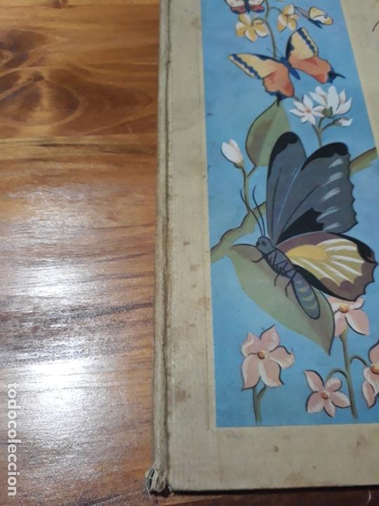 Libros antiguos: Cuento en el pais de las mariposas primera edici&oacute;n 1939 - Foto 11