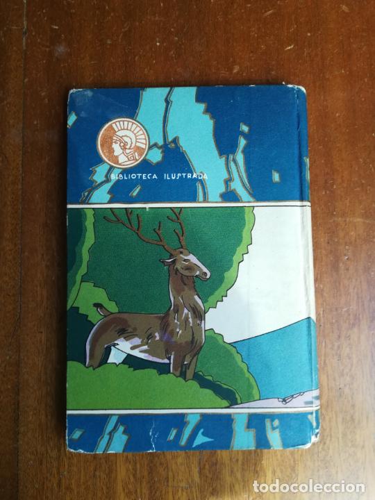 Libros antiguos: Libro Rosa de Tanemburgo - Cuentos Calleja - Foto 2