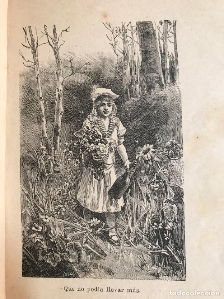 Libros antiguos: Cuento La Abuelita y el Lobo - Foto 3