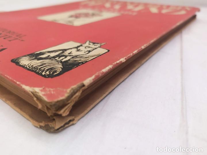 Libros antiguos: Les aventures den pinotxo. C. Collodi. 1a edición, 1934. Ed. Joventut. Barcelona. Pinocho. - Foto 19 - 302594613