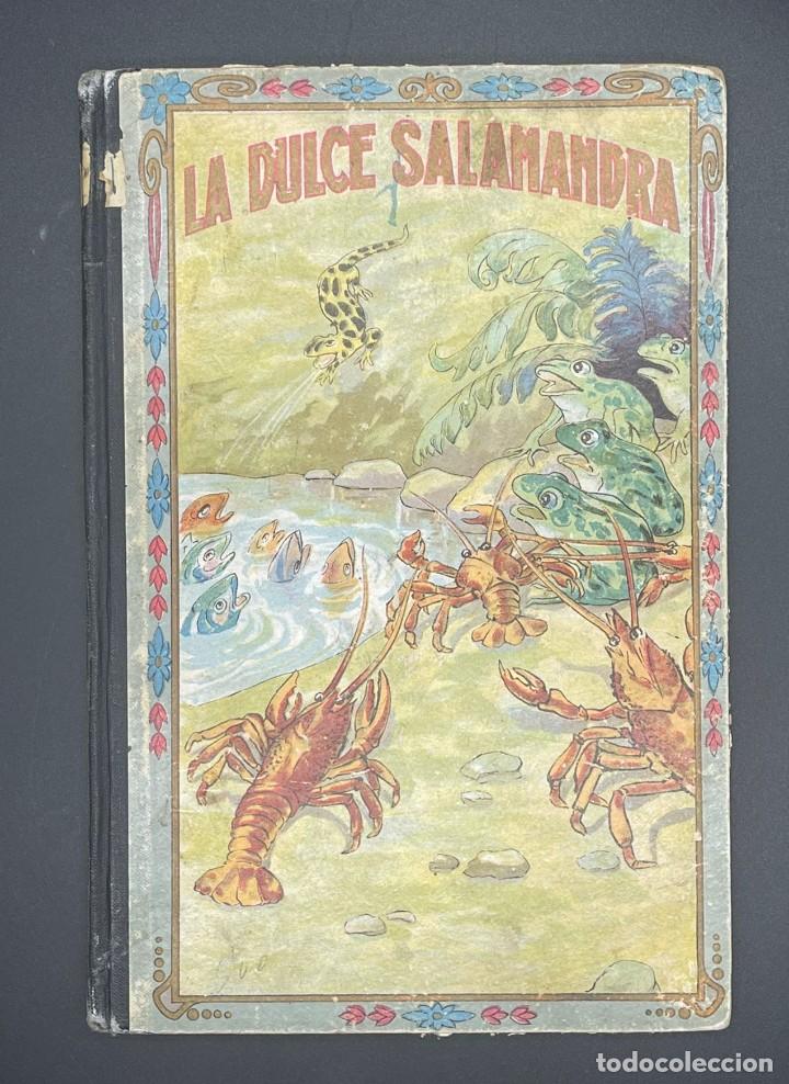 Libros antiguos: CUENTO LA DULCE SALAMANDRA - Foto 1