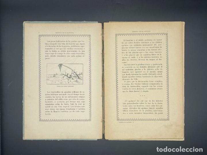 Libros antiguos: CUENTO LA DULCE SALAMANDRA - Foto 3