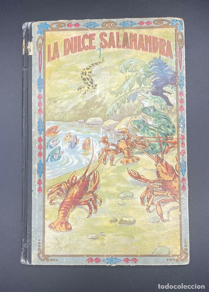 Libros antiguos: CUENTO LA DULCE SALAMANDRA - Foto 6