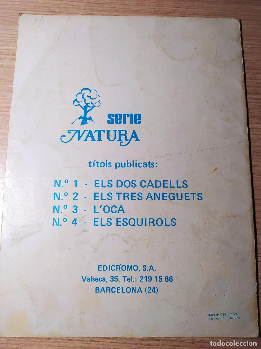 Libros antiguos: LOCA. Gallarda, Pinella, Duran. N&uacute;m. 3 - Foto 2