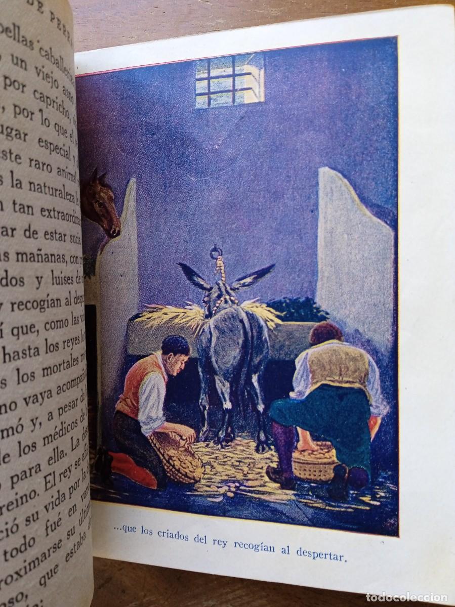 Libros antiguos: Cuentos de Perrault Araluce 1926 - Foto 5