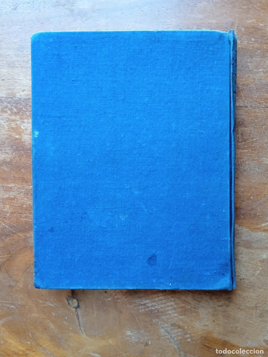 Libros antiguos: Cuentos de Perrault Araluce 1926 - Foto 10