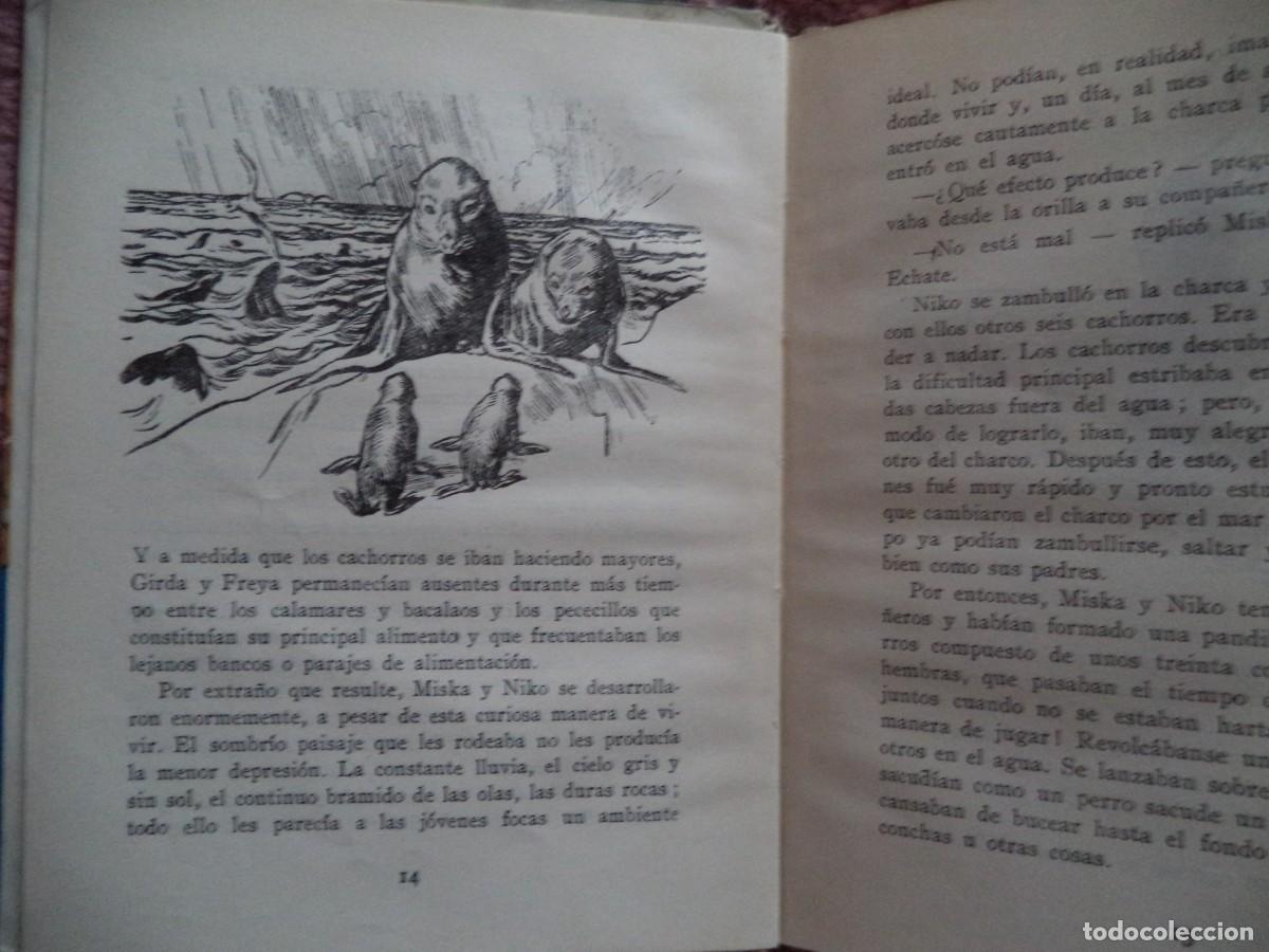 Libros antiguos: Cuento infantil Miska La Foca. - Foto 4