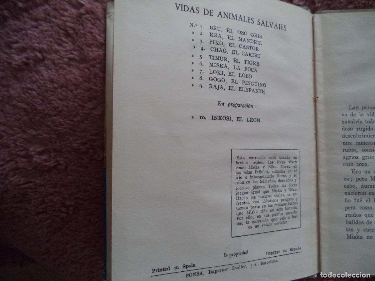 Libros antiguos: Cuento infantil Miska La Foca. - Foto 5