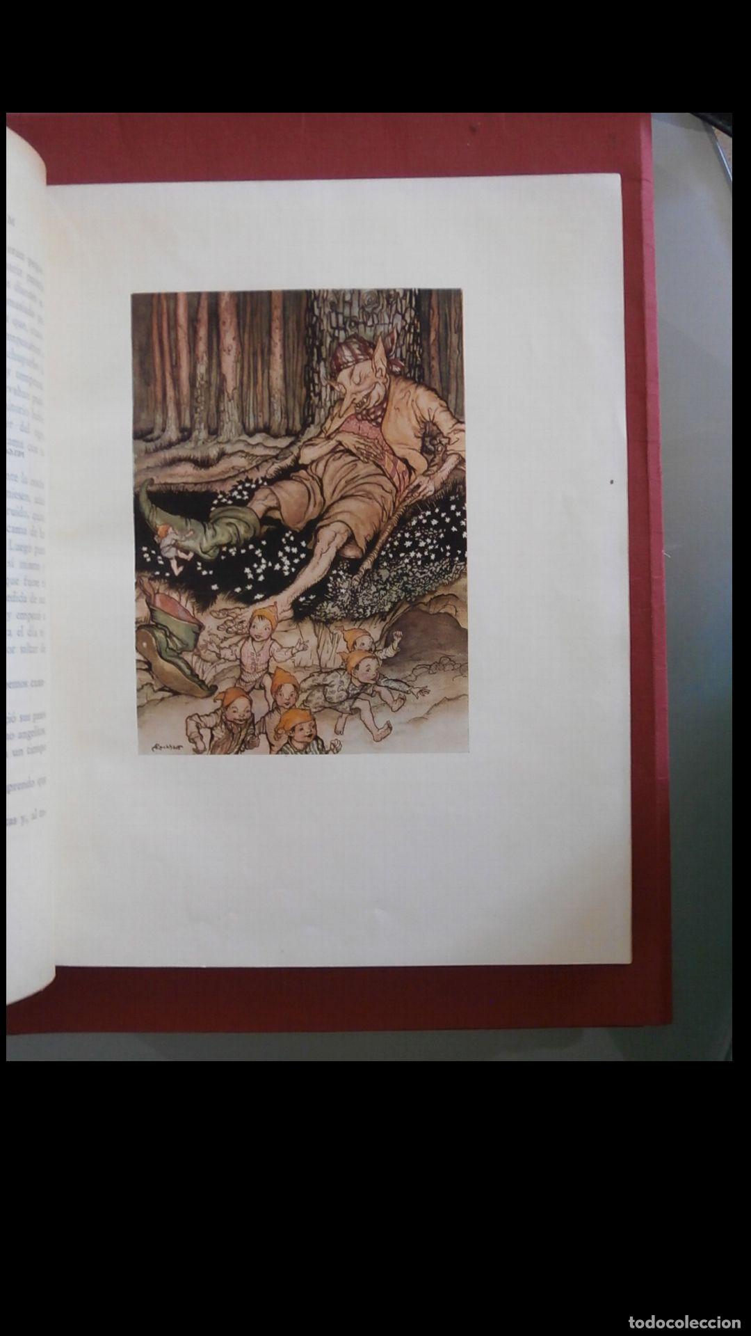 Libros antiguos: El libro de las hadas de Arthur Rackham - Foto 4