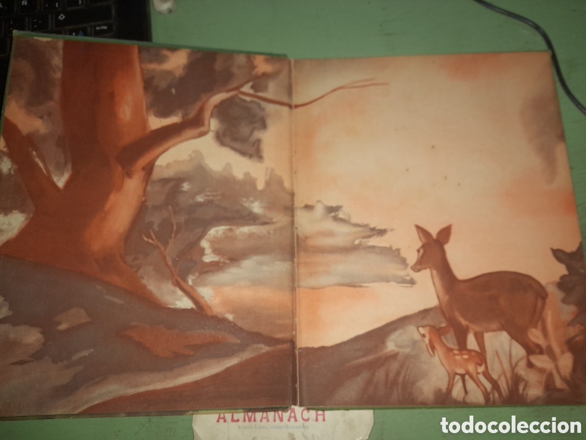 Libros antiguos: Cuento Bambi ,de Walt Disney a&ntilde;o 1045 - Foto 7
