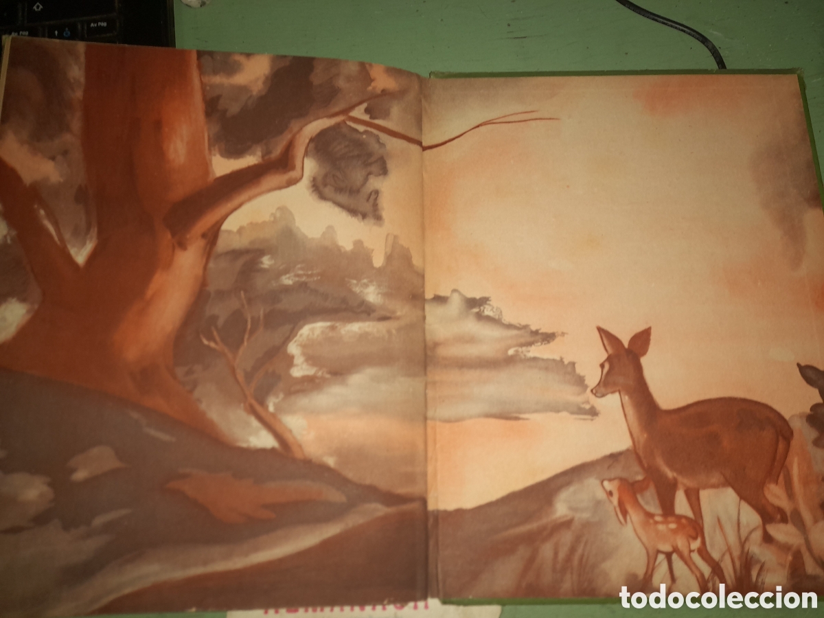 Libros antiguos: Cuento Bambi ,de Walt Disney a&ntilde;o 1045 - Foto 10
