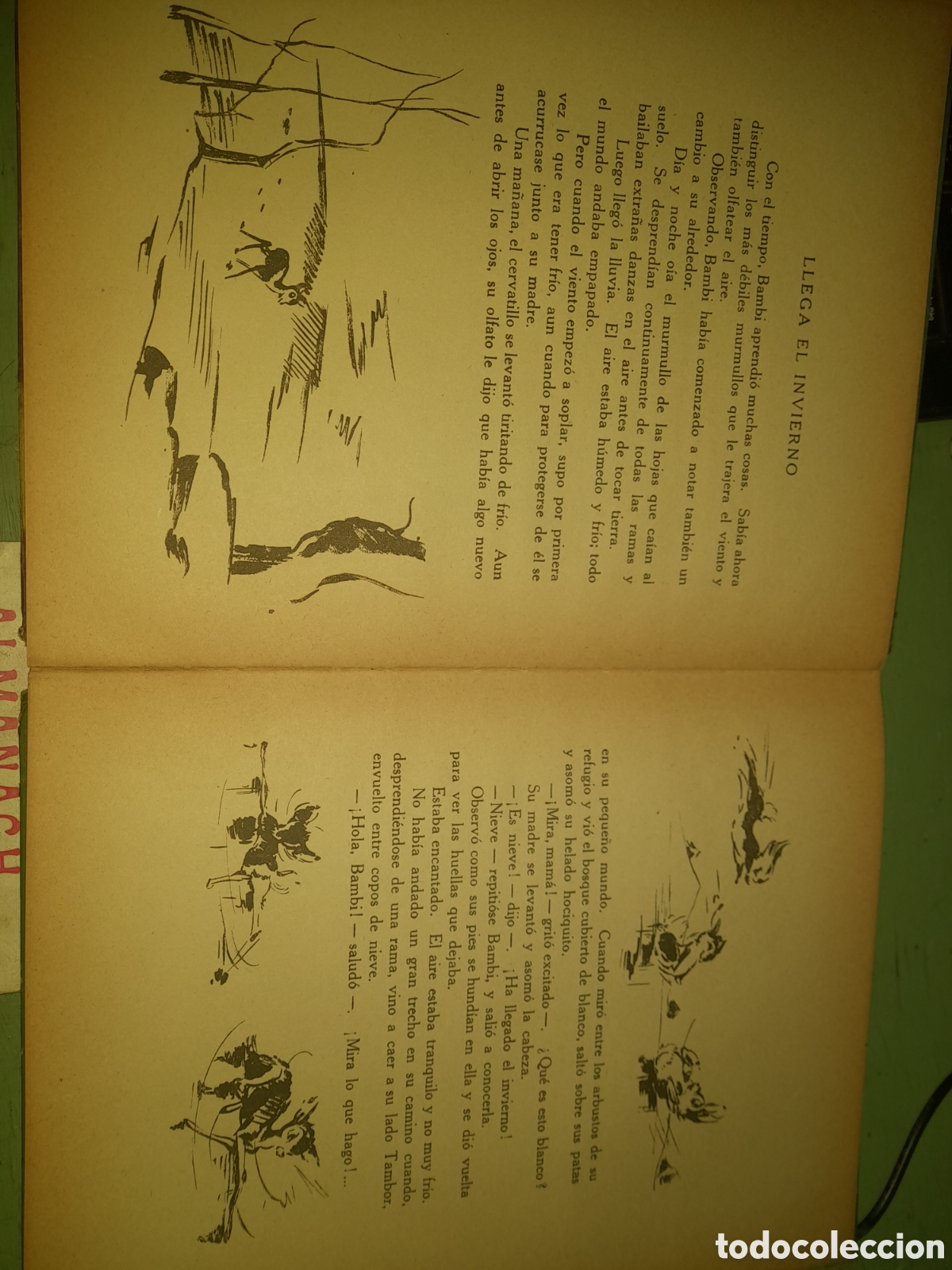 Libros antiguos: Cuento Bambi ,de Walt Disney a&ntilde;o 1045 - Foto 12