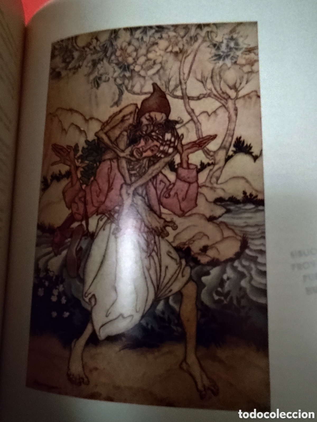 Libros antiguos: El libro de las hadas de Arthur Rackham - Foto 11
