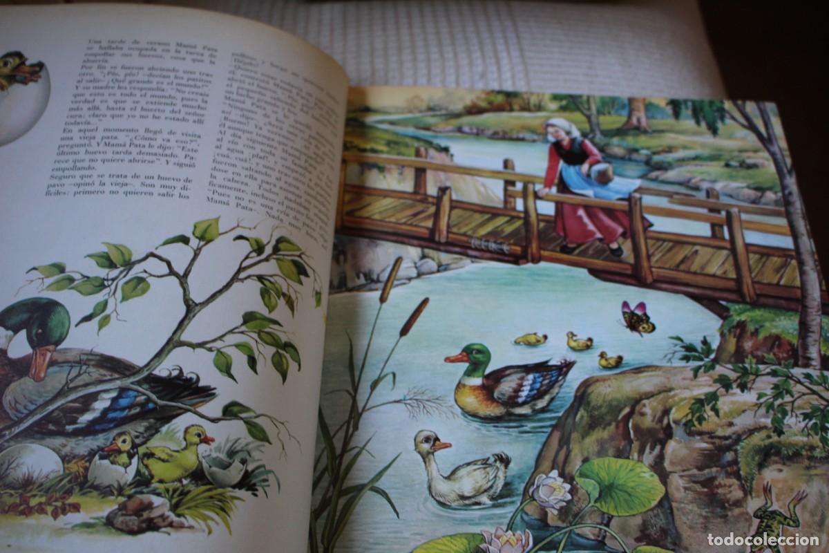 Libros antiguos: Cuatro cuentos de Andersen. Timun Mas - Foto 5