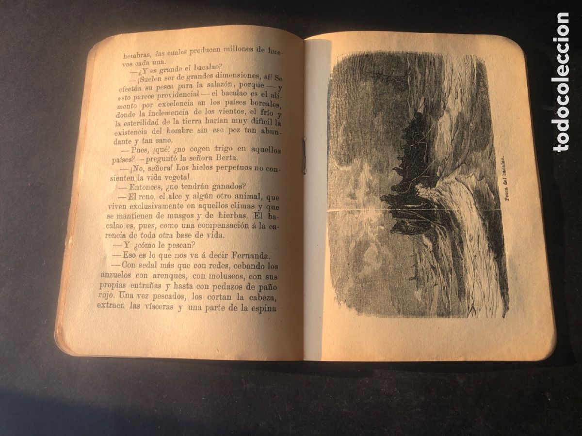 Libros antiguos: Museo de la ni&ntilde;ez Hernando y Cia EL BACALAO - Foto 4