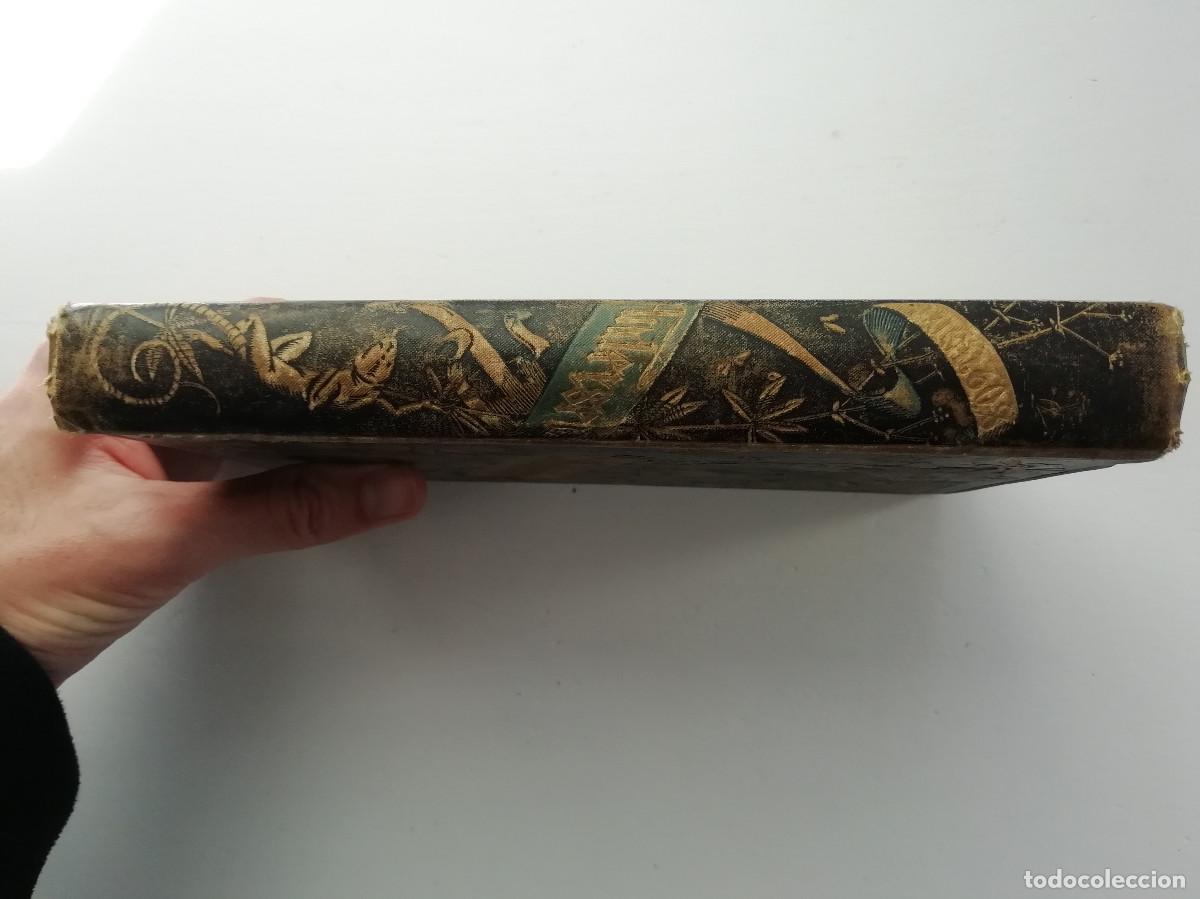 Libros antiguos: Cuentos escogidos - J.C. Andersen 1883 - Foto 20