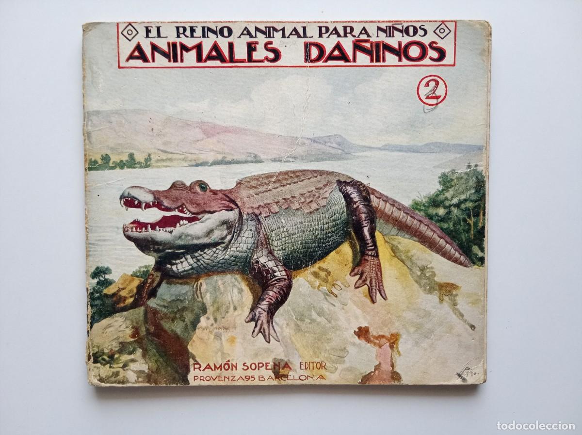 Libros antiguos: EL REINO ANIMAL PARA NI&Ntilde;OS. ANIMALES DA&Ntilde;INOS N&Uacute;M. 2. ED. SOPENA 1930. MUY ILUSTRADO. FOLIO MENOR.