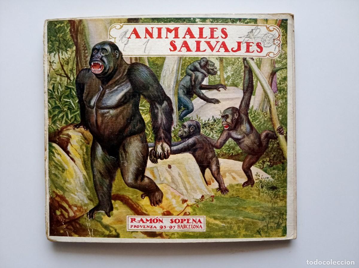 Libros antiguos: EL REINO ANIMAL PARA NI&Ntilde;OS. ANIMALES SALVAJES . ED. SOPENA 1930. MUY ILUSTRADO. FOLIO MENOR.