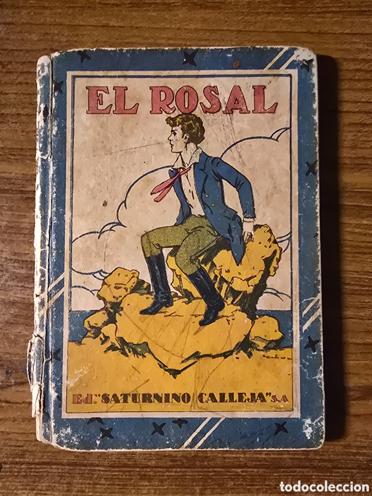 Libros antiguos: EL ROSAL,(SATURNINO CALLEJA)