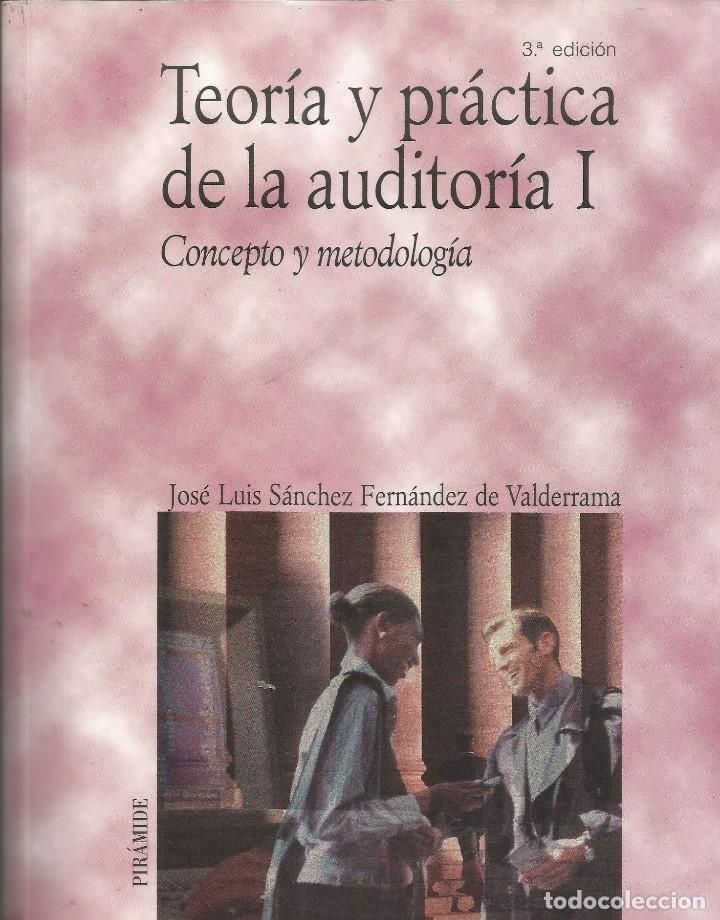 Libros antiguos: Teoria y practica de la auditoria I: Concepto y metodologia