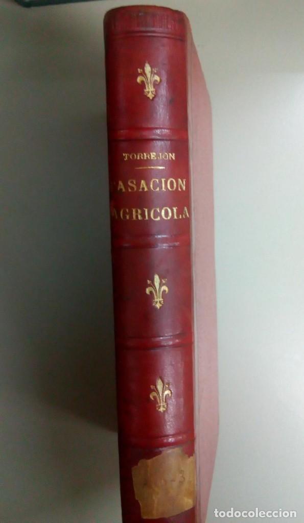 Libros antiguos: TEORIA Y PRACTICA DE TASACION AGRICOLA, ANGEL DE TORREJON Y BONETA, 1897, L11564