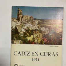 Libros antiguos: CADIZ EN CIFRAS. 1974. ORGANIZACION SINDICAL. CONSEJO ECONOMICO-SOCIAL SINDICAL. CADIZ. PAGS: 61