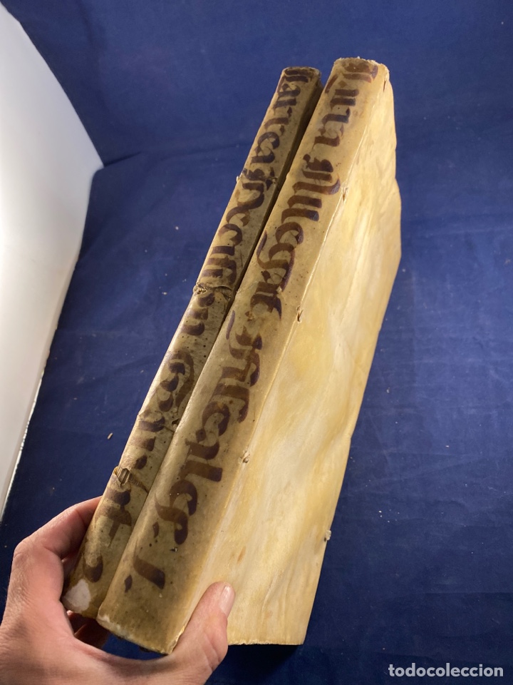 Libri antichi: ALLEGATIONVM FISCALIVM PARIS PRIMA, AVCTORE D. IOAN BAPTISTA LARREA