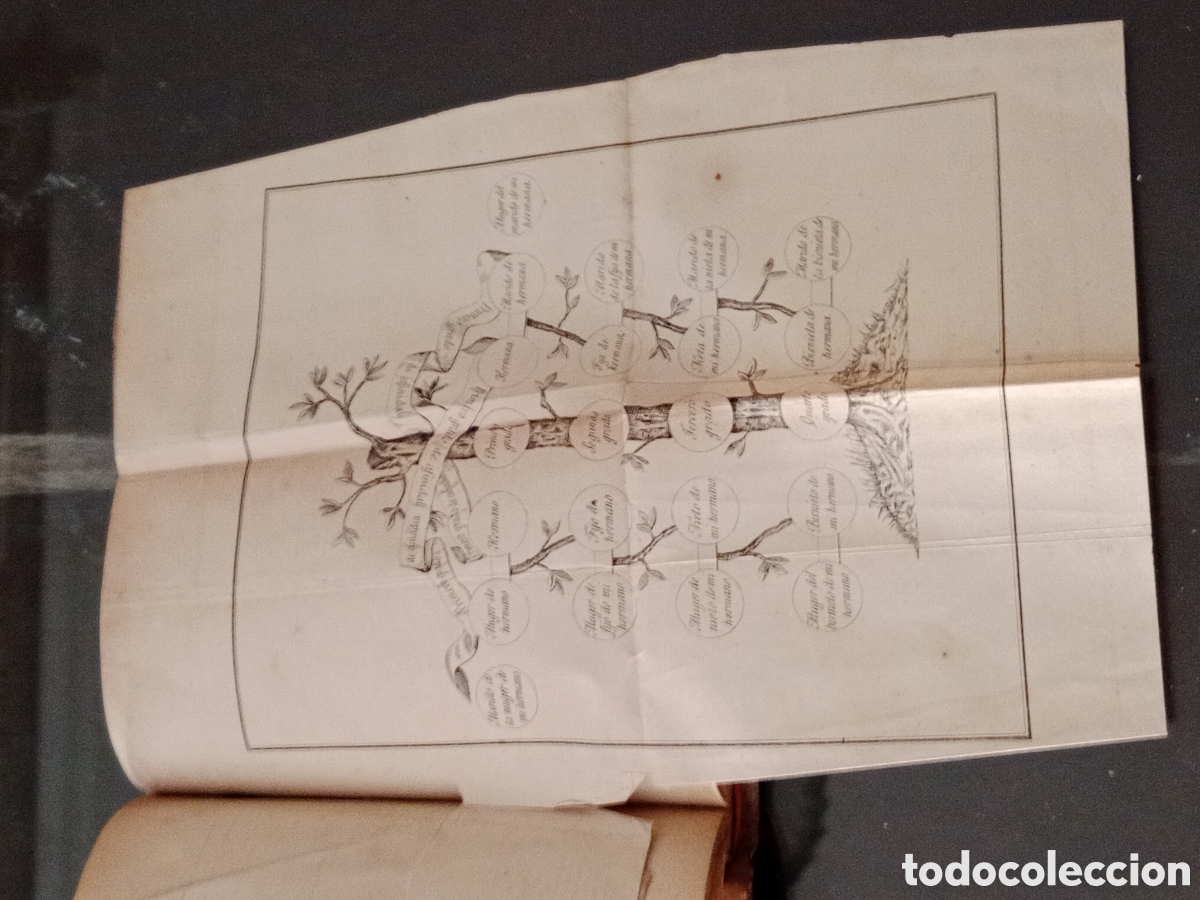 Libros antiguos: Manual de testamentarias - Foto 5