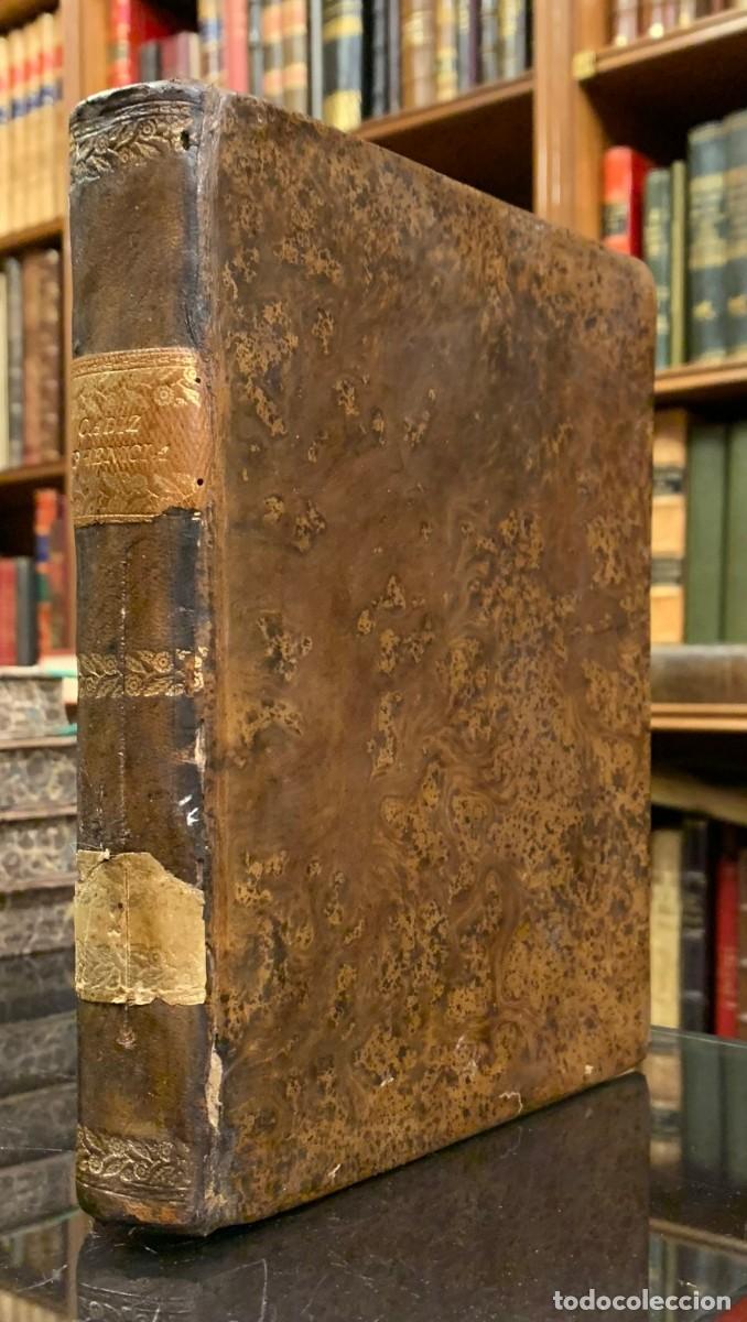 Livros antigos: Cadiz Phenicia. Tomo II. - Gaspar Ib&aacute;&ntilde;ez de Segovia Peralta y Mendoza