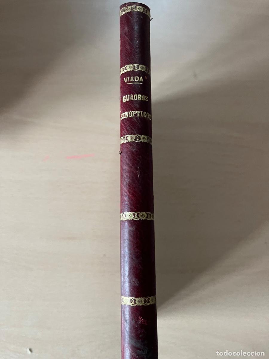 Libros antiguos: Cuadros sin&oacute;pticos . A&ntilde;o 1881 - Foto 1
