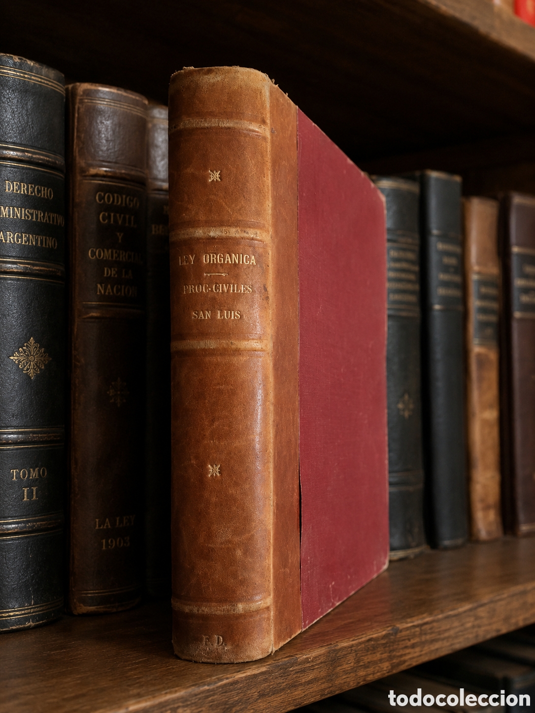 Libros antiguos: Provincia de San Luis &mdash; Ley Org&aacute;nica para la Provincia de San Luis &mdash; Buenos Aires, 1907