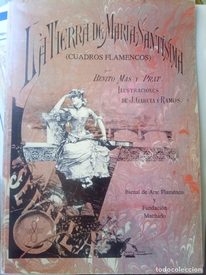 Libros antiguos: LIBROS DE SEVILLA - Foto 4