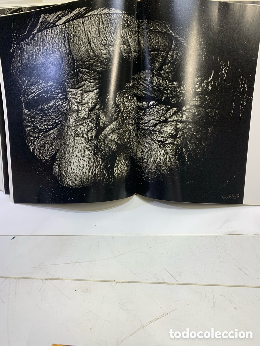 Libros antiguos: Albert Watson: Morocco - Foto 5