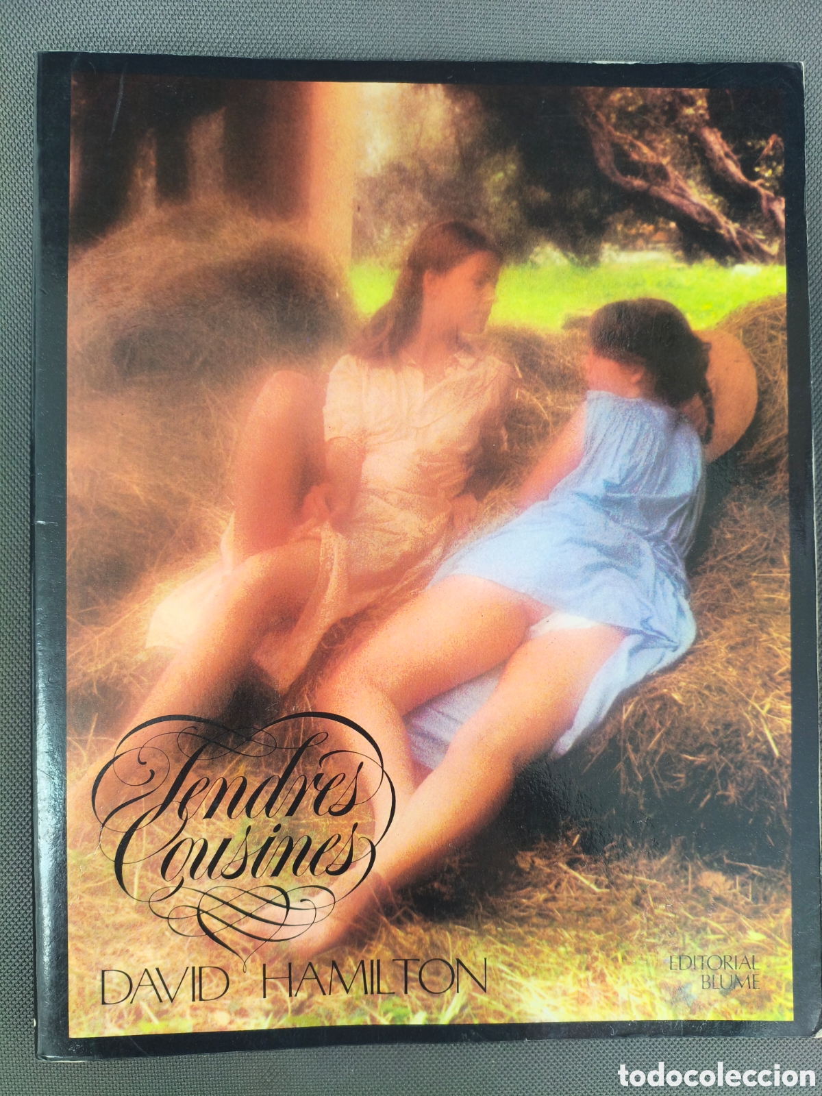 Libros antiguos: DAVID HAMILTON TENDRES COUSINES TIERNAS PRIMAS TEXTO DE PASCAL LAINE ED. BLUME 1983