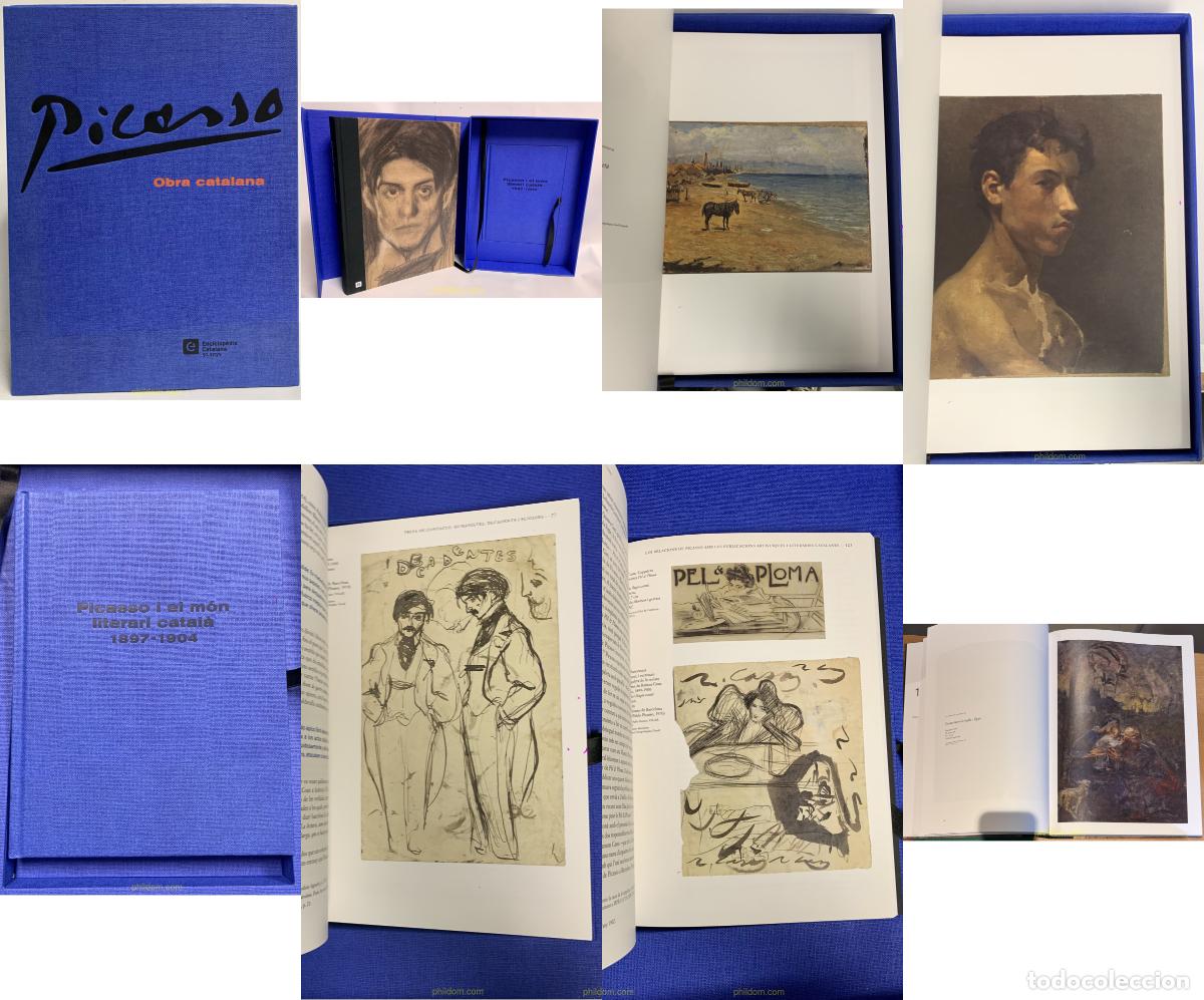 Libros antiguos: PICASSO, OBRA CATALANA