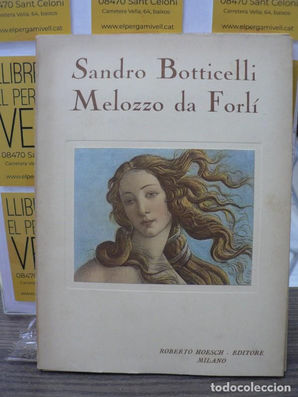Antiquarische B&uuml;cher: Sandro Botticelli : Melozzo da Forl&igrave; - Roberto Hoesch Editore - Milano, 1&ordf; ed.