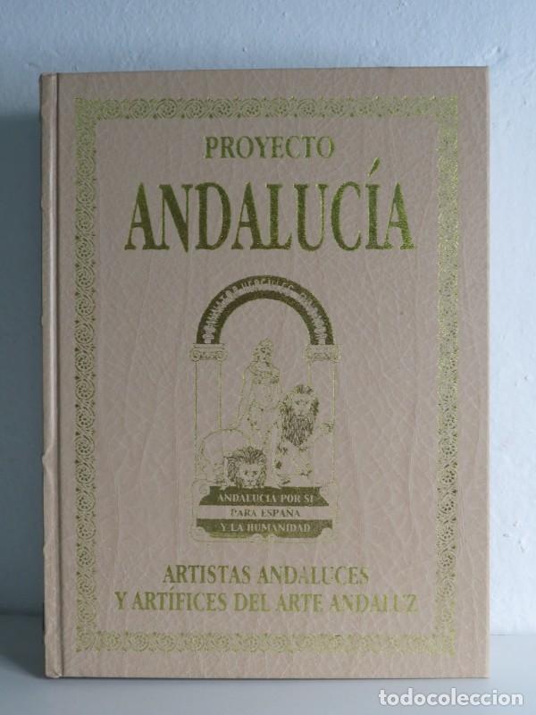 Libros antiguos: Proyecto Andaluc&iacute;a: Artistas, El ciclo humanista, Arquitectos II, Tomo XXXVI - Jes&uacute;s Rubio L&oacute;pez