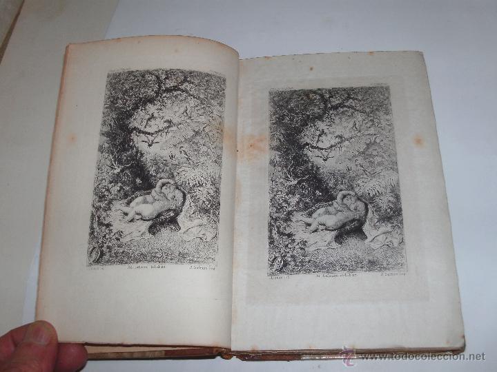 Libros antiguos: PAUL ET VIRGINIE - - Foto 2