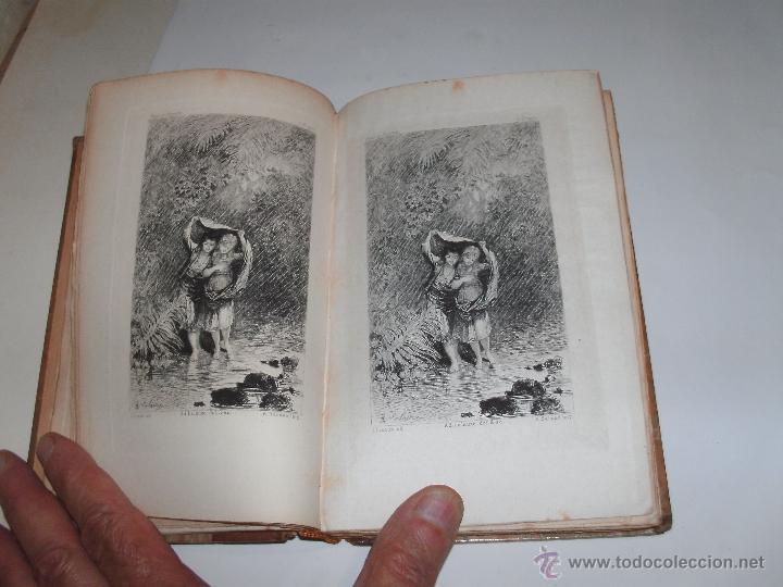 Libros antiguos: PAUL ET VIRGINIE - - Foto 4