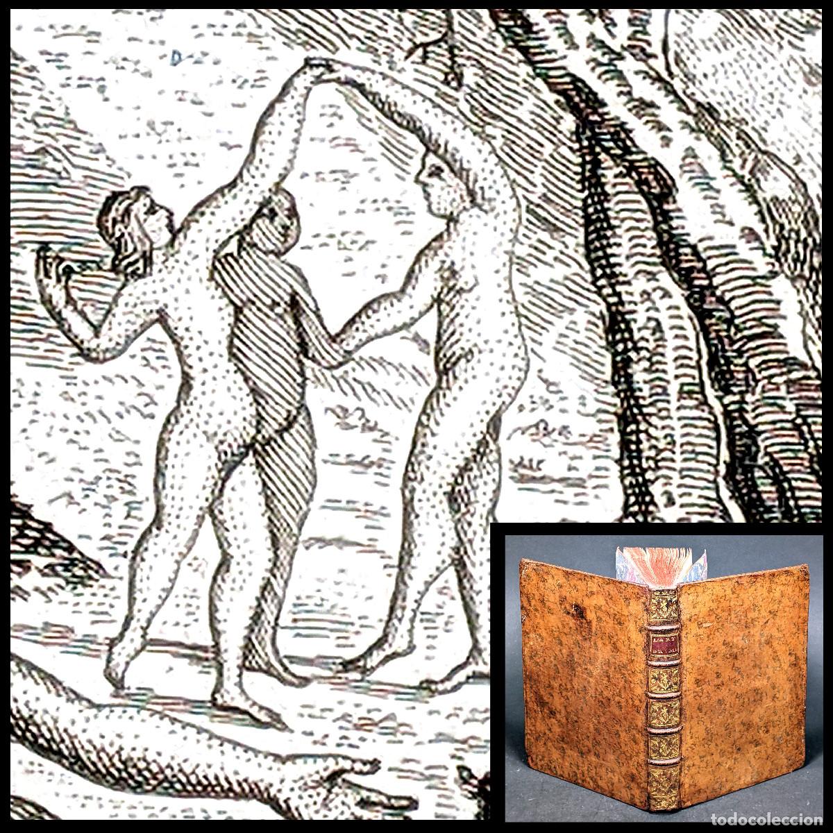 Antiquarische B&uuml;cher: A&ntilde;o 1755 El arte de amar Ejemplar de la biblioteca del pintor Descamps Erotismo Grabados Ovidio