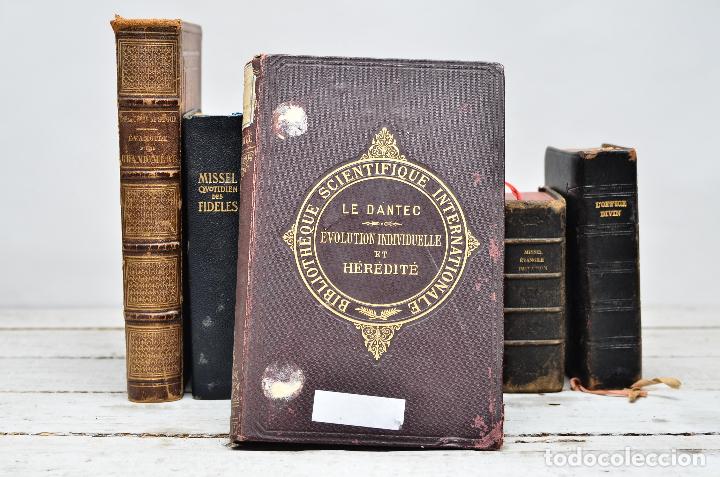 Libros antiguos: Evolution Individuelle Et Heredite: Theorie de La Variation Quantitative - Foto 1