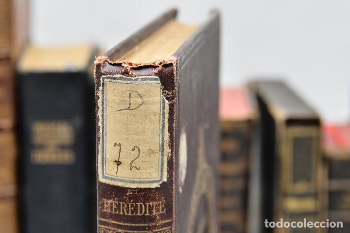 Libros antiguos: Evolution Individuelle Et Heredite: Theorie de La Variation Quantitative - Foto 4
