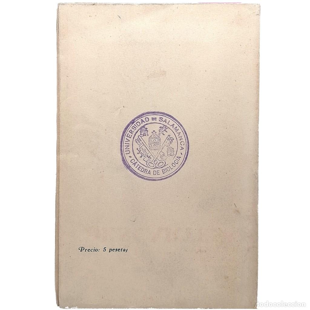 Libros antiguos: DESCARTES. Hoffmann, A. - Foto 2